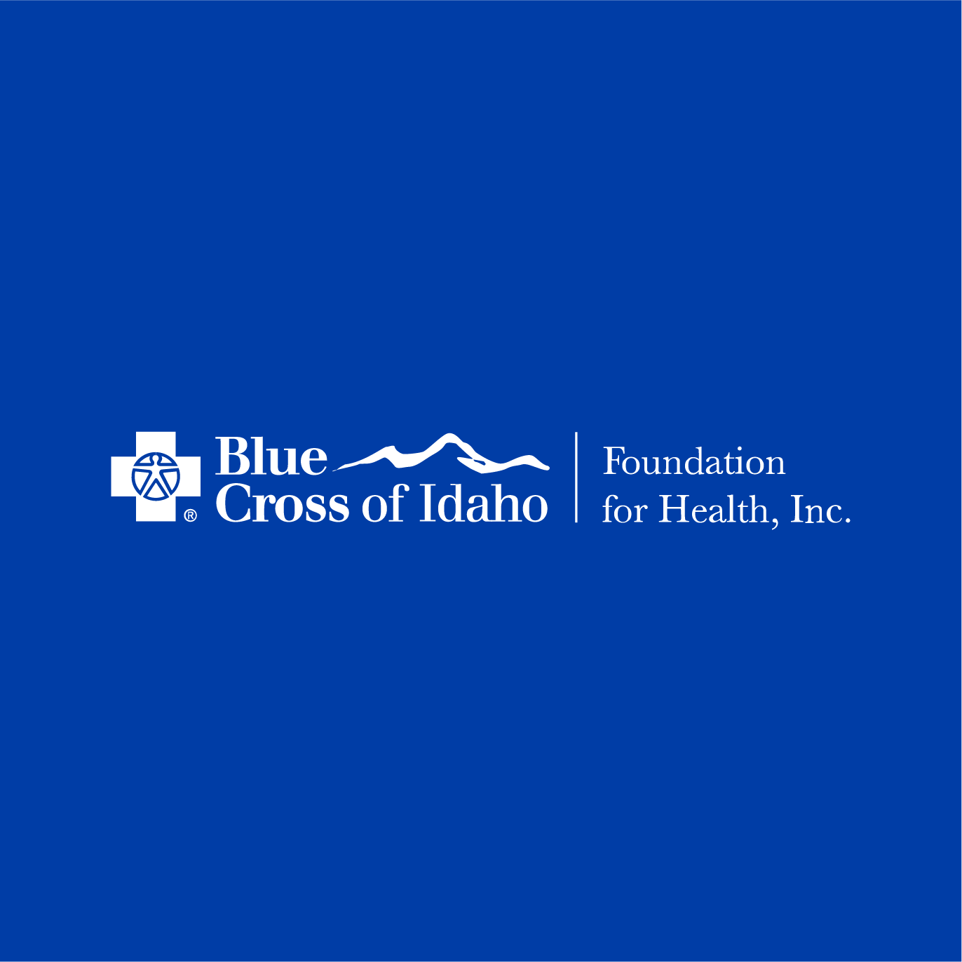 The Blue Foundation Inc.