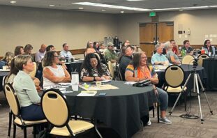 The Power of Learning Collaboratives